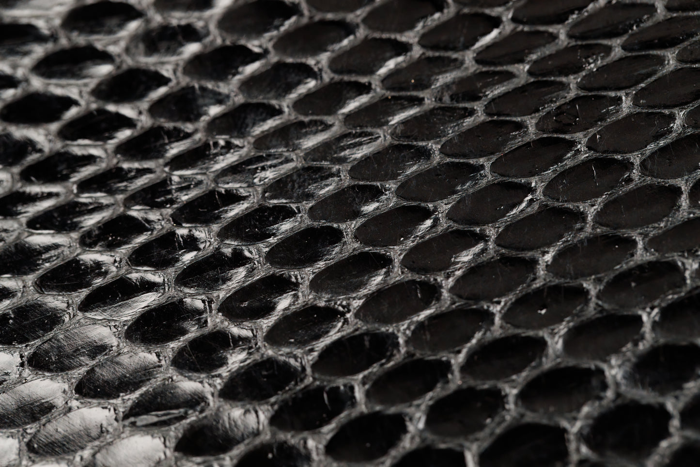 Wallet, Black Water Snake with Italian leather